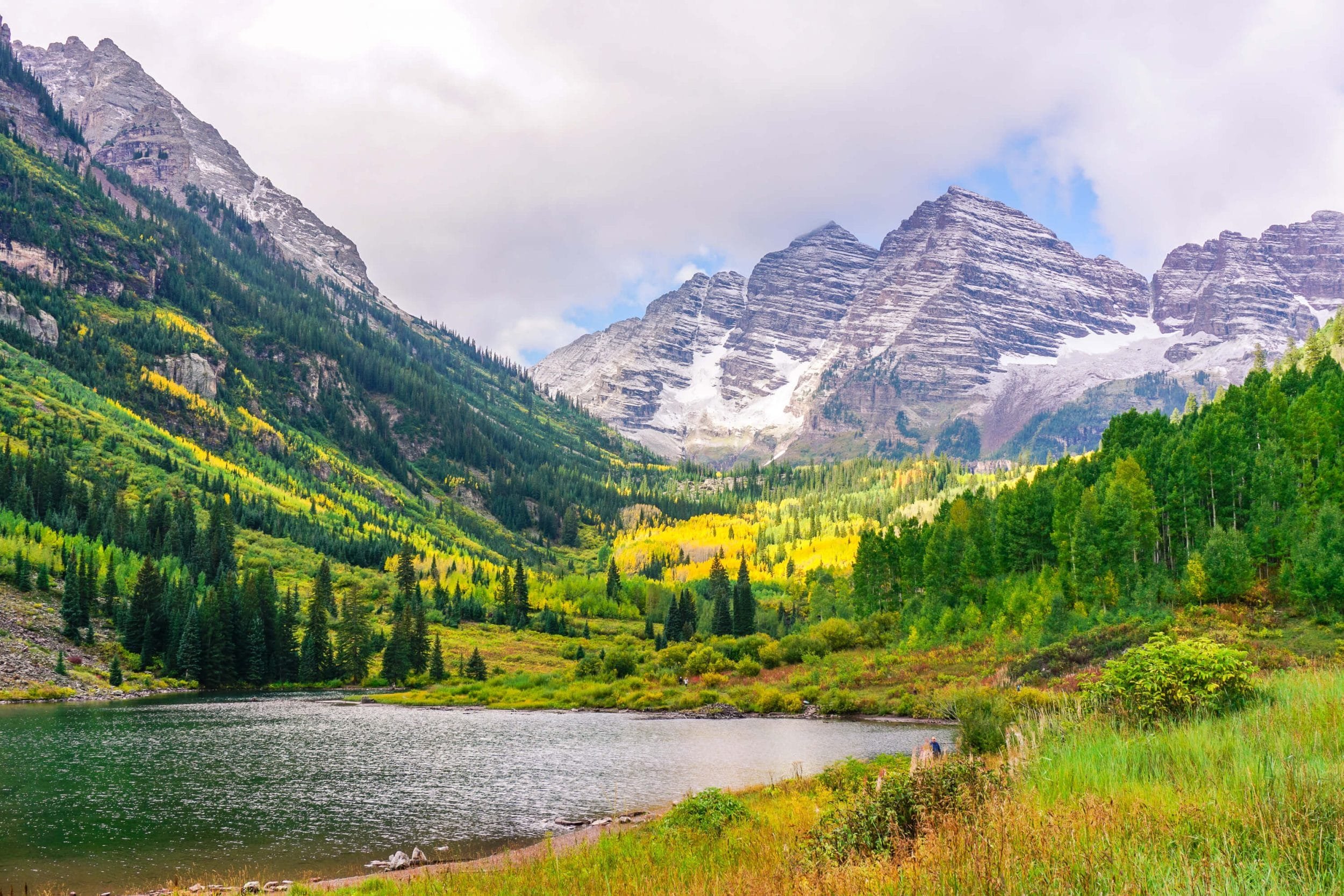 크레이터 호수 트레일 중간 아스펜 숲 (Aspen Grove on Crater Lake Trail)